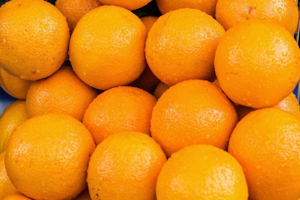 Egyptian Baladi oranges for juicing