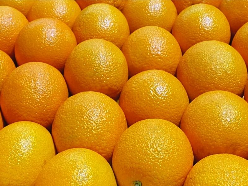 Fresh Egyptian Valencia and Navel oranges