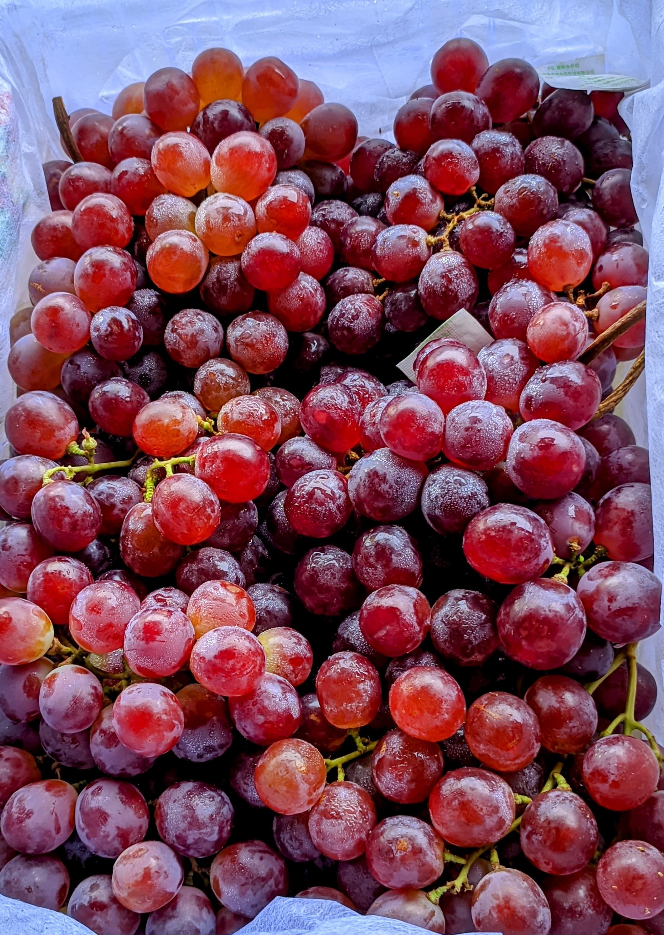 Fresh Egyptian seedless table grapes