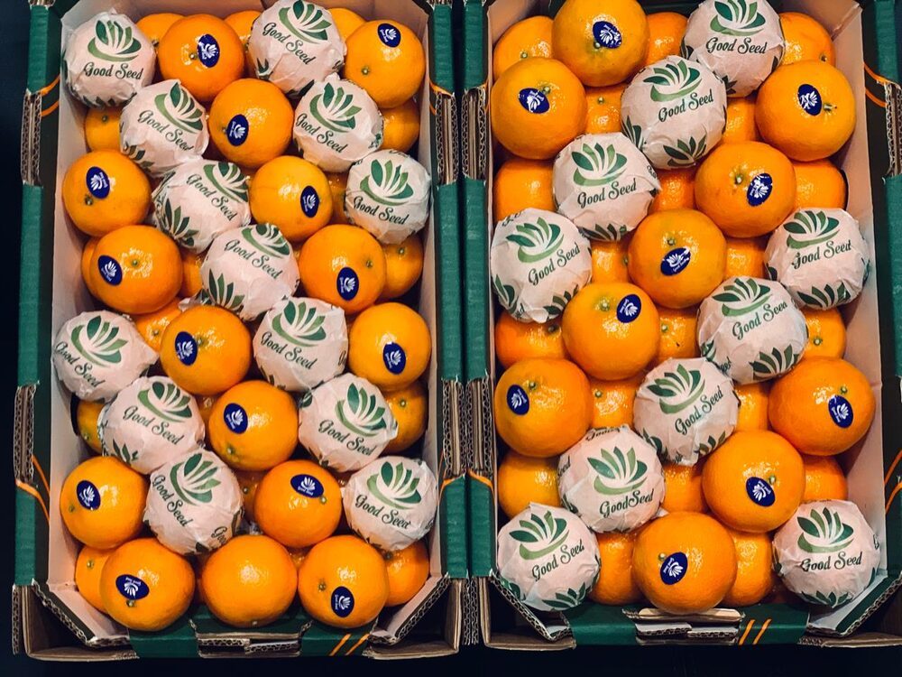 Fresh Egyptian mandarins, easy-peelers