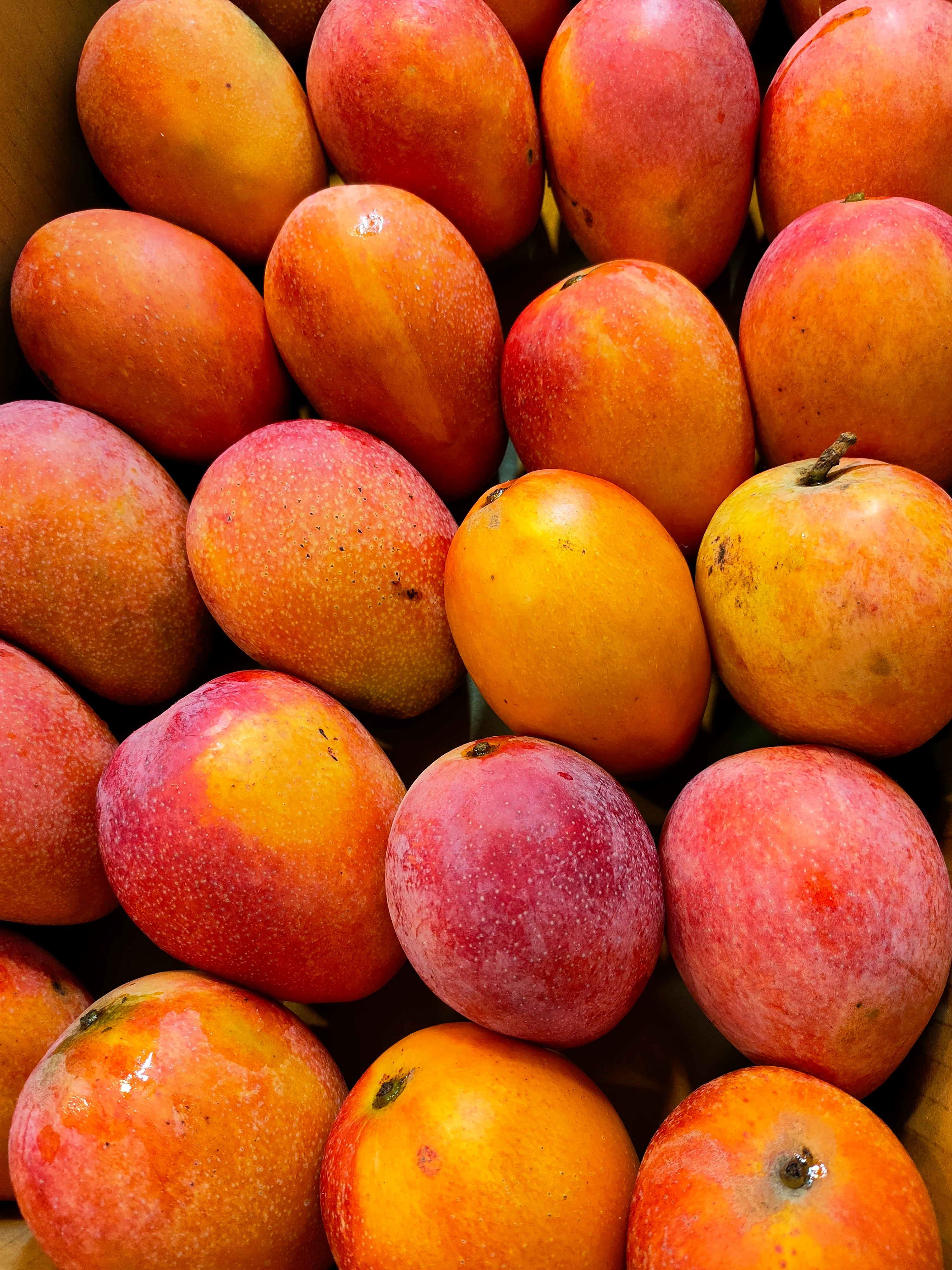 Fresh premium Egyptian mango