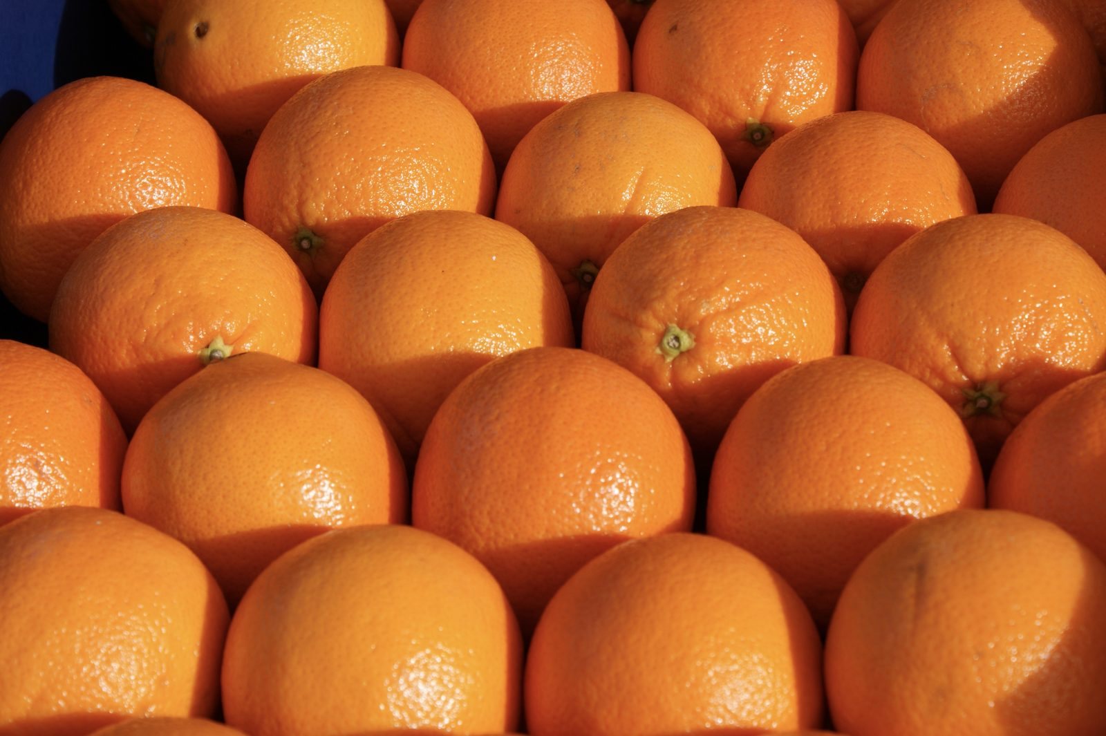 Fresh Egyptian Navel oranges, seedless