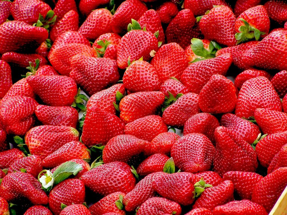 Fresh Egyptian winter strawberries in punnets